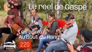 Un groupe d'ami(e)s jouent de la musique traditionnelle dehors sur un banc rouge en automne; accordéons, violons, banjo, guitare.
