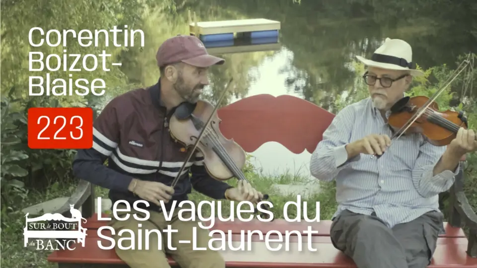 Deux hommes jouent des violons sur un banc à côté d'un étang en été.