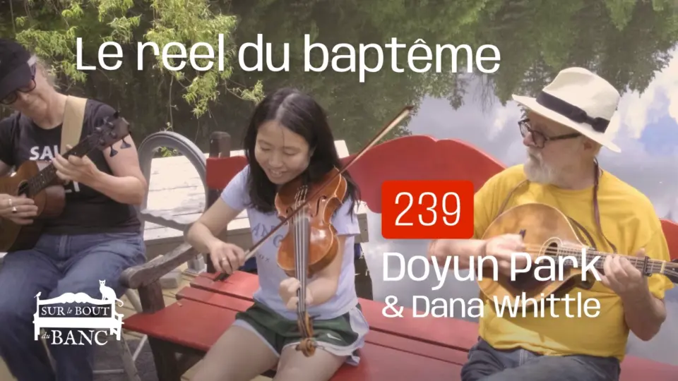 Deux femmes et un homme jouent mini-basse, violon et mandola sur un quai près de l'eau en été.