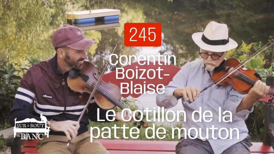 Deux hommes jouent des violons sur un banc sur bord'un étang en été